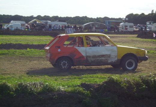 DSCI0334